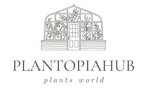 plantopia hub logo