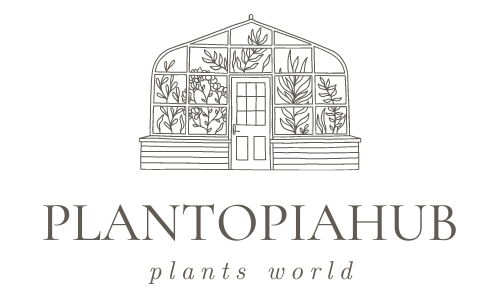 Should I Soak Cucumber Seeds Before Planting PlantopiaHub Your 